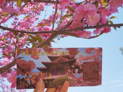 -西安青龙寺遗址景区