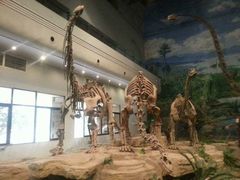 -自贡恐龙博物馆