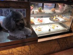 蛋糕柜-more than meow吴止猫主题餐厅(承德 中船汇店)