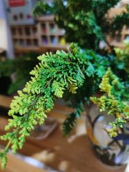 -今日陶艺(富力广场店)