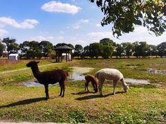 -嘉北郊野公园