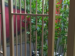 -蓉府金足印象(清江西路店)
