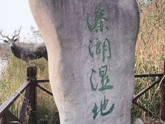 -溱湖国家湿地公园