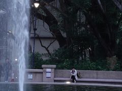 -九龙公园