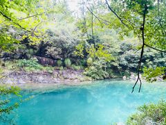 -石台牯牛降景区