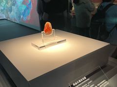 -北京大葆台遗址博物馆