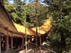 -天鹿湖森林公园