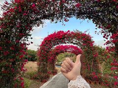 -东莞植物园