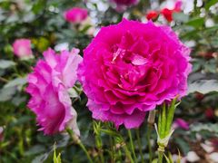 -人民公园(罗湖区)