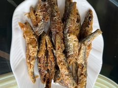 -野菌皇海景野生菌火锅(滨海大道店)