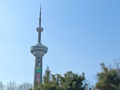 -南京古林公园