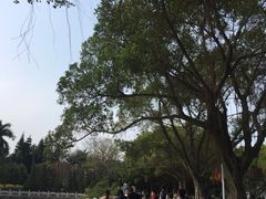-南沙天后宫景区