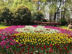 -上海鲜花港
