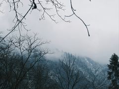 -西岭雪山大飞水景区
