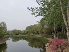 -大兴滨河森林公园