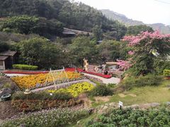 -广东天露山旅游度假区