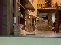 -树洞咖啡(科大店)