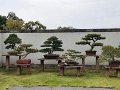 -扬州大运河文化旅游度假区·盆景园