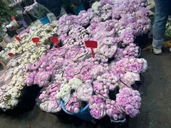 -循礼门鲜花花市(武汉循礼门店)