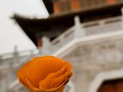 -迎泽公园