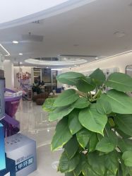 点击看大图 -至简医疗美容·医生集团