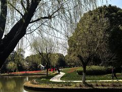 -上海鲜花港