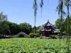 -莲池书院博物馆