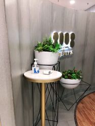 -八佰伴8008星级形象店