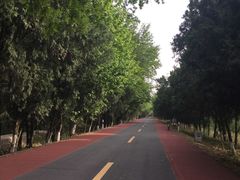 -洪泽湖古堰景区