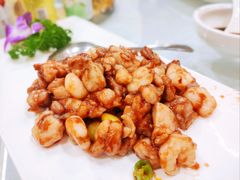 -丁老爷子苏香圆