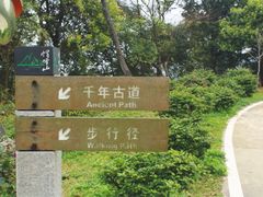 帽峰山-广州市帽峰山景区