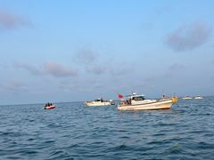 -日照世帆赛基地