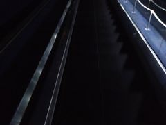 -上海海洋水族馆