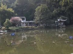 -团城山公园