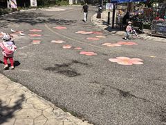 -燕塞湖鸟语林景区