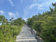 -五龙城郊森林公园