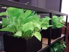 -混果汁(喜荟城店)