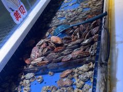 -聚盛源蒸汽海鲜火锅烤肉自助(巨川金海岸购物广场店)