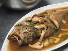 -胖哥家藏菜(护国路店)
