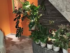 -泰古龙抓龙筋·spa按摩(静安店)