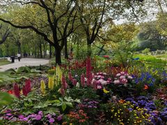 -上海共青森林公园