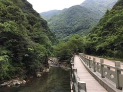 -宁波五龙潭景区