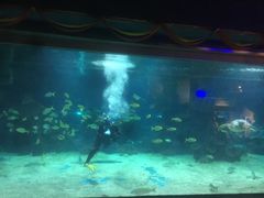 -石家庄海洋公园