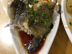 清蒸石斑鱼-七鲜渔港美食餐厅(巽寮湾海景店)