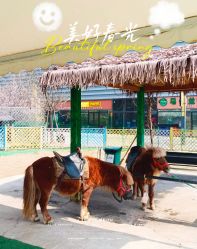 -萌宠亲子动物乐园(槐房万达店)