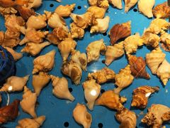 -蓝钻·国际美食海鲜自助百汇(西直门店)