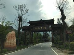 -紫鹊界梯田景区
