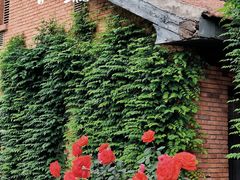 -西安电影制片厂