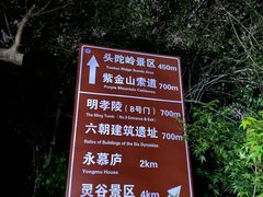 -紫金山山顶公园