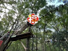 -WeLope紫金山探险公园